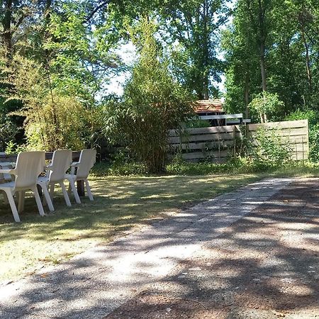 Heerlijk huisje in het Vechtdal tussen de bossen en de Vecht.. Ommen Buitenkant foto