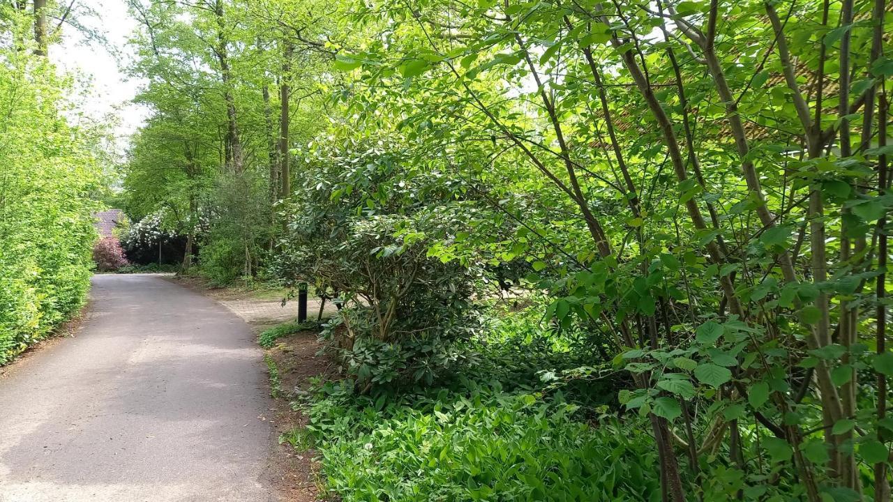 Heerlijk huisje in het Vechtdal tussen de bossen en de Vecht.. Ommen Buitenkant foto