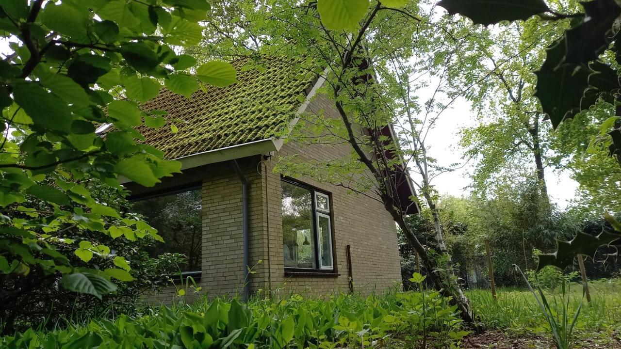 Heerlijk huisje in het Vechtdal tussen de bossen en de Vecht.. Ommen Buitenkant foto